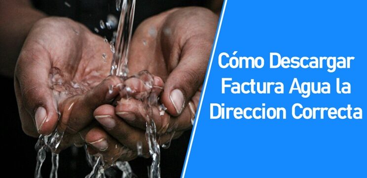 Cómo Descargar Factura Agua la Direccion Correcta