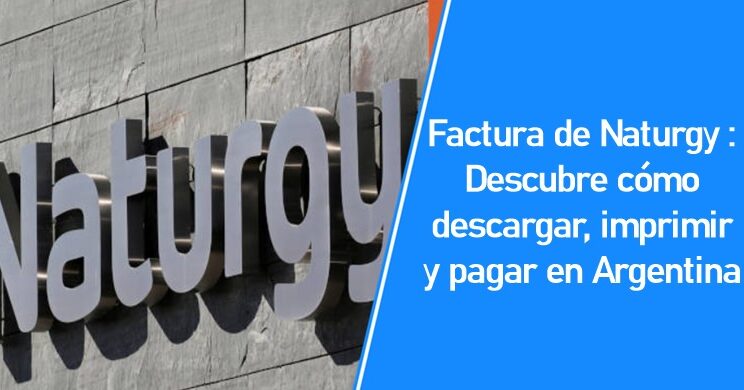 Factura de Naturgy: Descubre cómo descargar, imprimir y pagar en Argentina